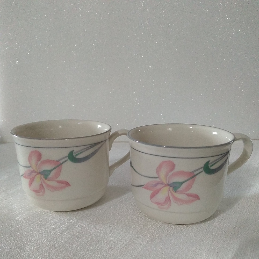 Lenox 2 cups Iris On Grey